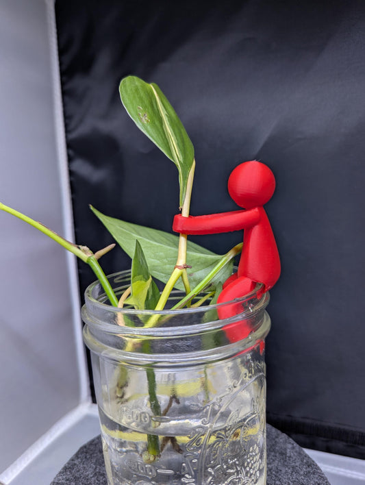 Set of three Plant Buddies | Plant Cutting Holder | Plant Propagation Friends