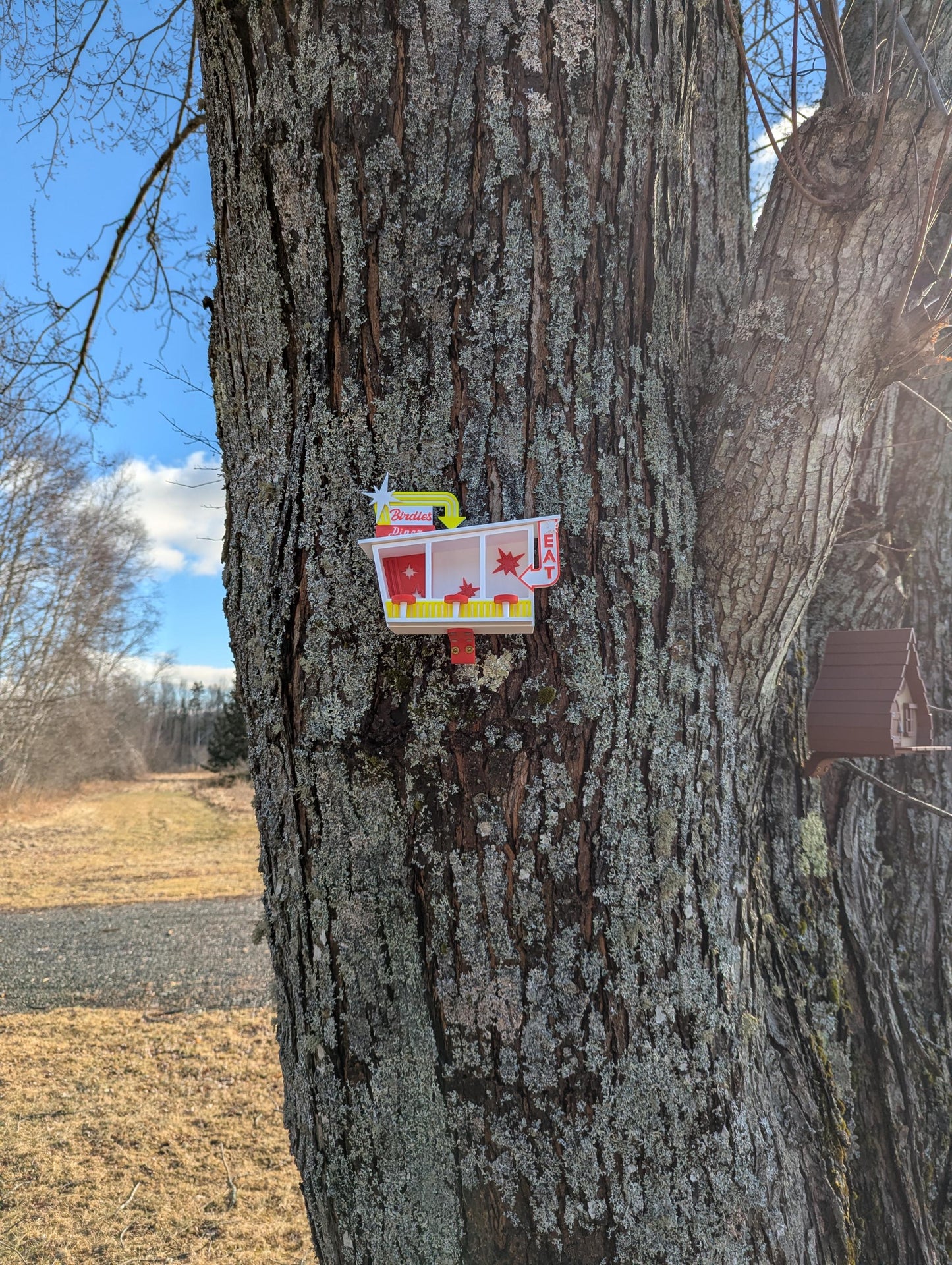 Birdie's Diner Bird Feeder | Yard Decor
