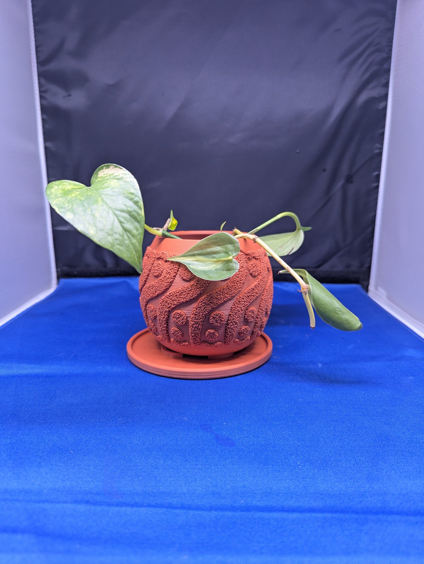 Terracotta Style Planter | Sturdy Plant Pot